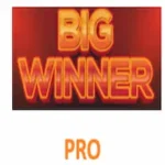 Big Winner Pro